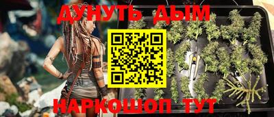 гидропоника Пенза