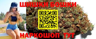 гидропоника Пенза