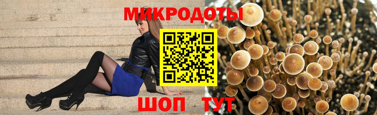 Псилоцибиновые грибы Cubensis Россошь