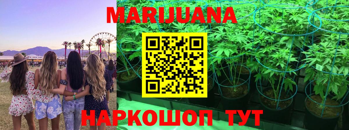 Бошки марихуана конопля  Конопля план  Россошь  Вход с VPN  Конопля Ganja 
